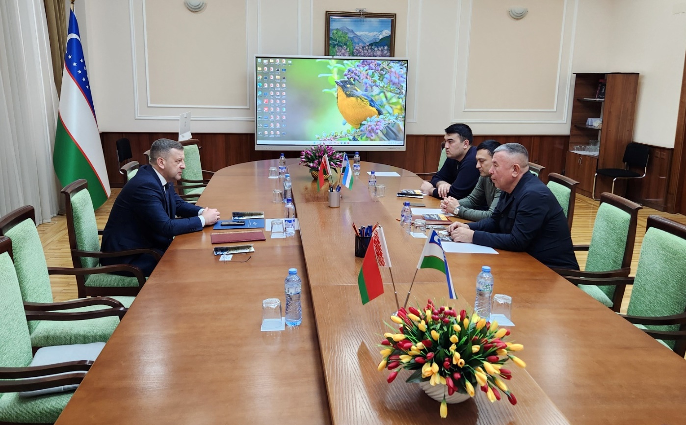 НОВЫЕ НАПРАВЛЕНИЯ МЕЖЗОНАЛЬНОГО СОТРУДНИЧЕСТВА